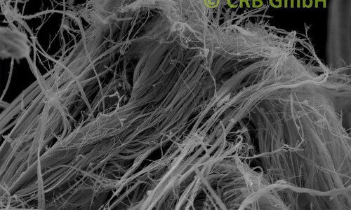 SEM-picture of chrysotile asbestos in leight-weight-panels, Sokalite | © CRB Analyse Service GmbH