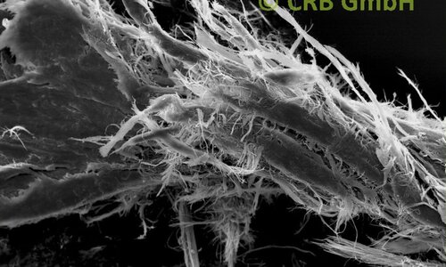 Amiante de chrysotile dans mastic, image MEB | © CRB Analyse Service GmbH
