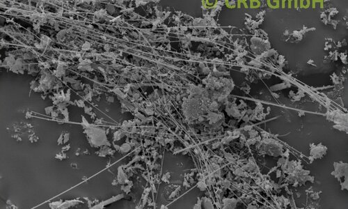 Amianto amosite di immagine SEM in dieselgur | © CRB Analysis Service GmbH